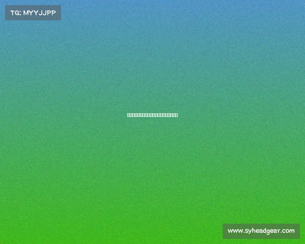 欧冠赛场客队球迷的热血支持与独特文化解析